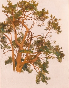 Charles Sillem Lidderdale, RBA
